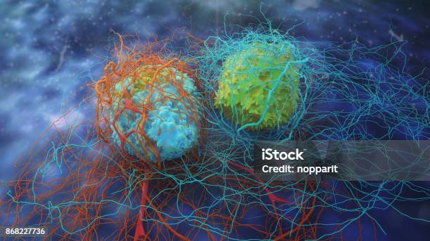 Dividing Cancer Cells Stock Photo - Download Image Now - Cancer Cell, Cancer - Illness, People