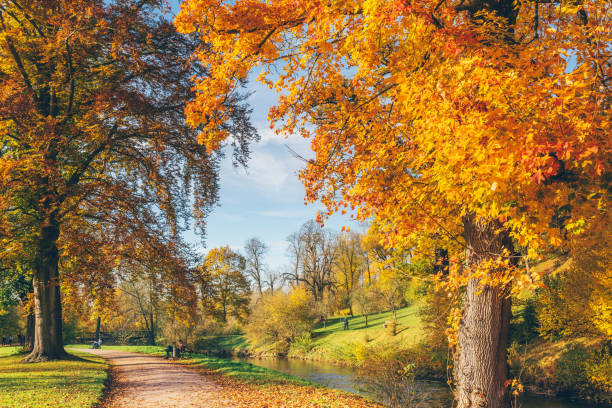 istock Beautiful Autumnal park 868231318