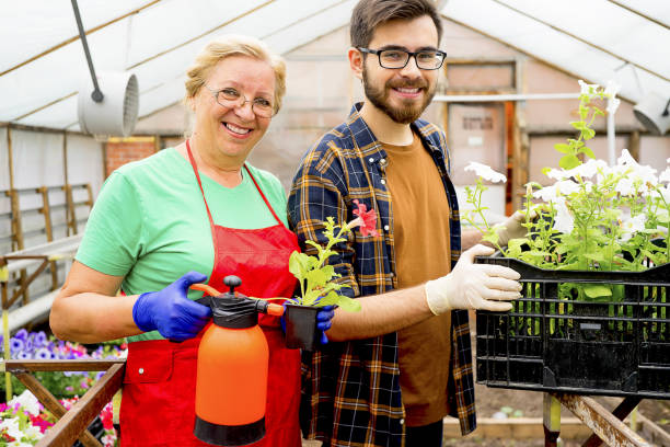 istock People working in a greenhouse 868239376