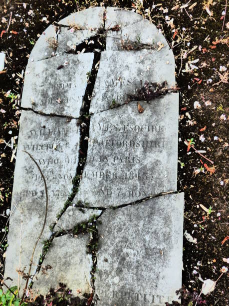 istock Pere Lachaise cemetery, Paris 868253462
