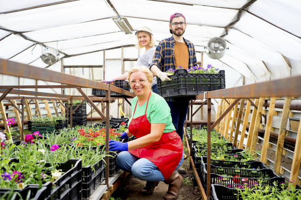 istock People working in a greenhouse 868257150