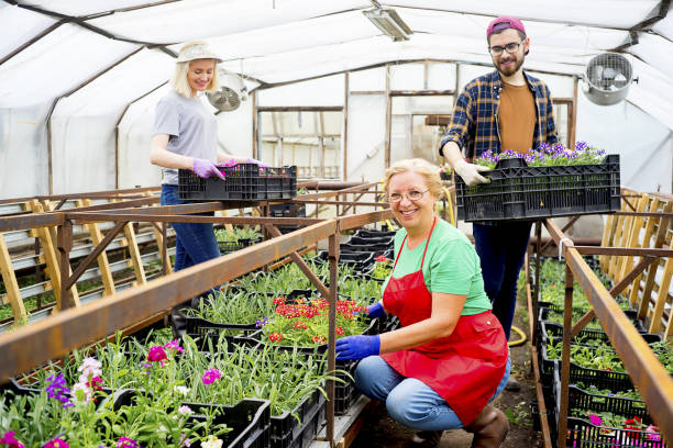 istock People working in a greenhouse 868257502
