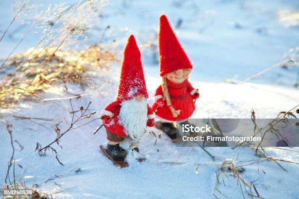 Esquí De Gnome Foto de stock y más banco de imágenes de Navidad - Navidad, Noruega, Gnomo
