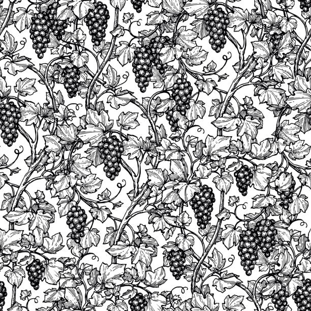 ilustrações de stock, clip art, desenhos animados e ícones de seamless pattern with grape vine. - berry vine