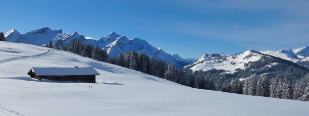 catena montuosa vista dal monte hohe wispile, svizzera. scena invernale nell'oberland bernese. - bernese oberland gstaad winter snow foto e immagini stock