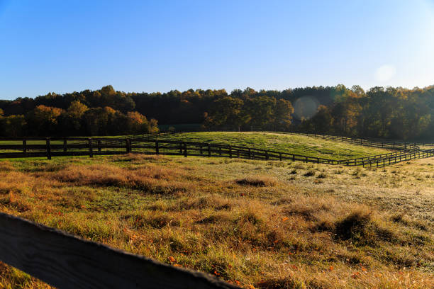 istock Fall horse farm in Northern Virginia 868267150