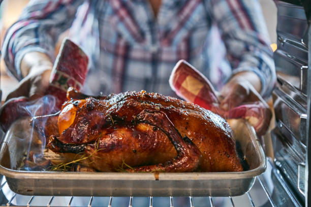 Roasting Traditional Christmas Duck in the Oven Roasting Traditional Christmas Duck in the Oven for Holiday Dinner duck meat stock pictures, royalty-free photos & images