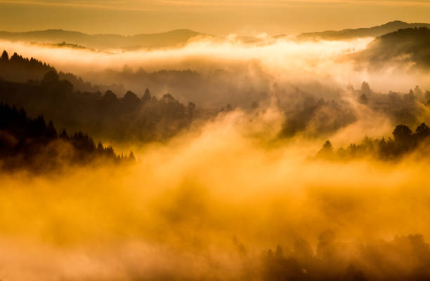 istock Mountain landscape in fog 868271032
