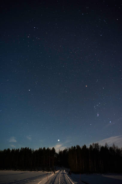 constellation d’orion et sirius au-dessus de forêt dans le ciel d’hiver - lake night winter sky photos et images de collection