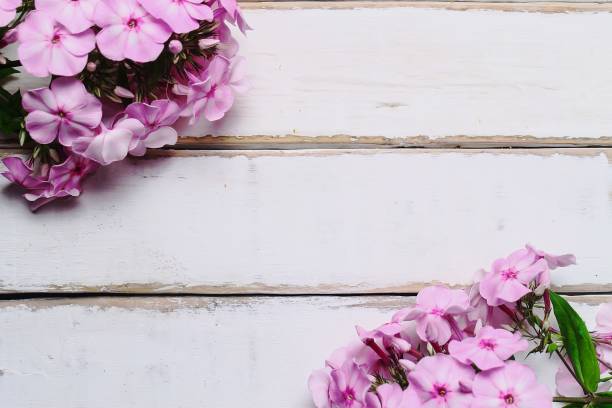 istock Pink flowers on a wooden table 868276108