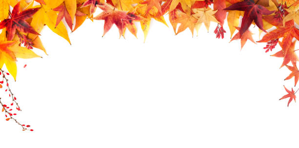 istock Autumn Frame of Red, Orange and Yellow Maple Leaves 868278182