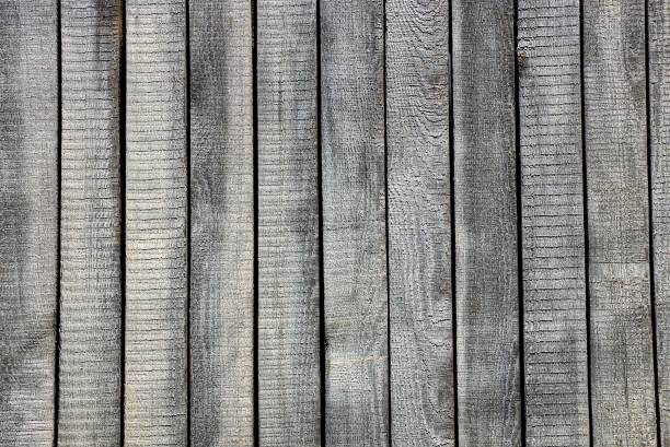 istock gray texture of old thin wooden fence 868280978