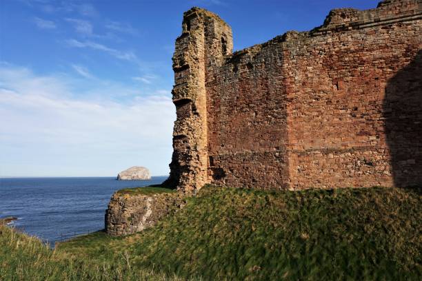 Tantallon Castle with Bass Rock North Berwick, East Lothian, Scotland - October 27, 2017: Front view of Tantallon Castle near North Berwick, Scotland, in the late October sunshine. Looking past the sandstone wall of the north wing of the castle the Bass rock is in the background. The Bass Rock is formed from a volcanic plug resulting in a small island where the Firth of Forth merges into the North Sea. north berwick scotland east lothian castle scotland stock pictures, royalty-free photos & images