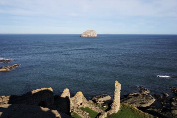 Tantallon Castle and Bass Rock North Berwick, East Lothian, Scotland - October 27, 2017: View from the ramparts of Tantallon Castle looking over the ruins surrounding the old Inner Court towards the Bass Rock sitting in the Firth of Forth. A small section of the outer wall forms a narrow pillar. The Bass Rock is formed from a volcanic plug resulting in a small island where the Firth of Forth merges into the North Sea. north berwick scotland east lothian castle scotland stock pictures, royalty-free photos & images