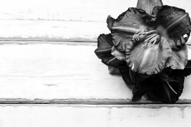 istock Flowers on a wooden table 868284966