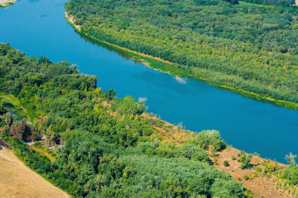 istock Aerial view of forest during 868285006