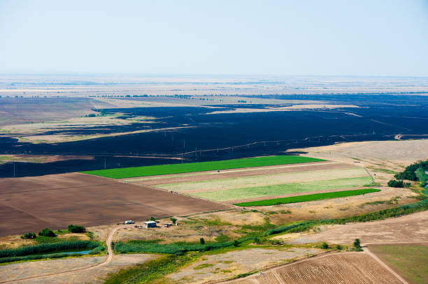 istock Scorched trees and grass after the fire. Aerial view 868285246