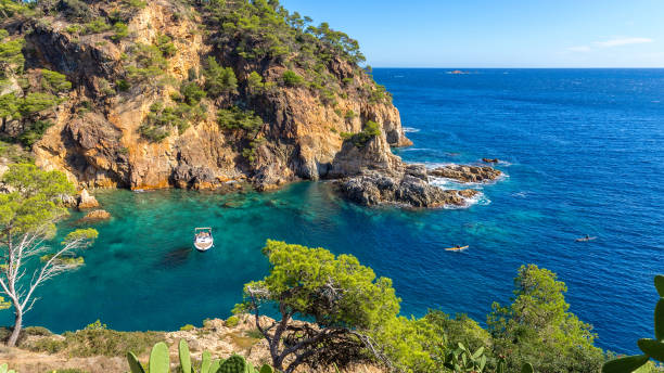 istock Nice detail from Costa Brava coastal in Spain 868288196