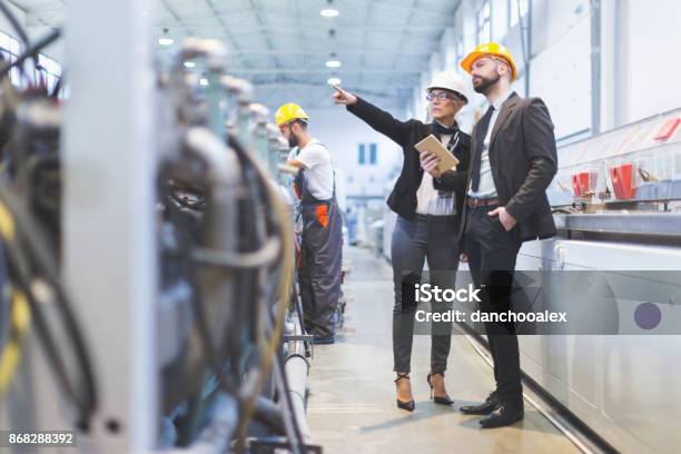 Equipo De Inspectores De Calidad En Fábrica Foto de stock y más banco de imágenes de Organización - Organización, Gerente, Industria