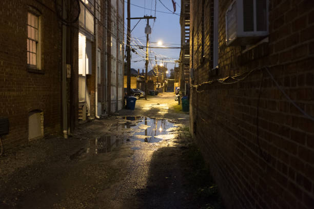 istock Fan Alleyway in RVA 868299926