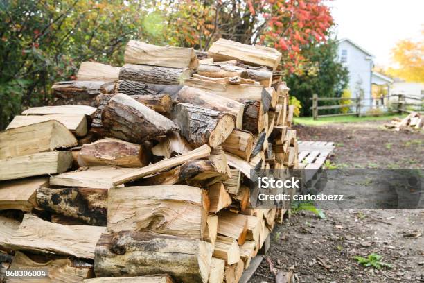 Woodfire Farm Stock Photo - Download Image Now - Woodpile, Canada, Coniferous Tree