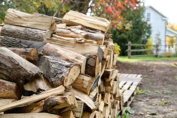 woodpile on the farm with house background