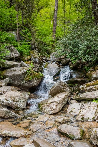 istock Creek Runs Through Rock in Smokies 868309478