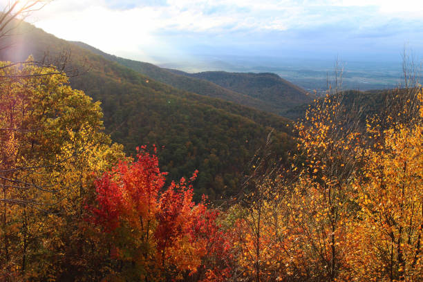 istock A mountain landscape with colorful trees in the fall. 868309888