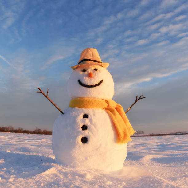 istock Funny snowman in yellow hat 868313316