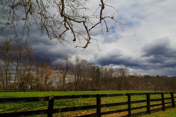 istock Hudson NY sycamore tree on farm with cloudy background 868320816