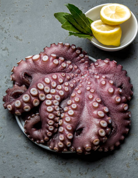 istock Seafood octopus. Whole fresh raw octopus with lemon and laurel, gray slate background, top view 868324120