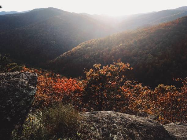 istock Skyline Drive in Virginia 868335034