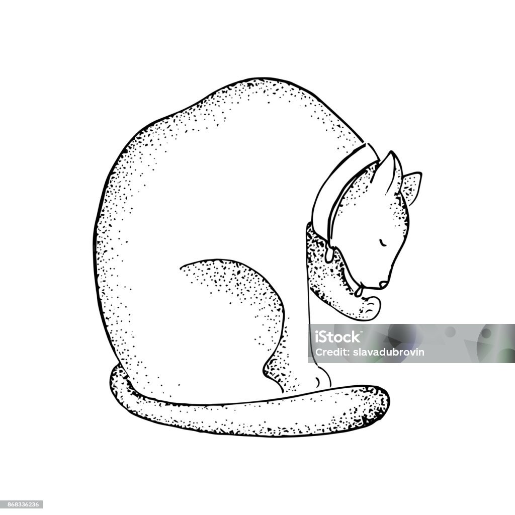Fat Cat In Collar Line Art Vector Illustration Lazy Cat With Dot Shading  Feminine Tattoo Stock Illustration - Download Image Now - iStock