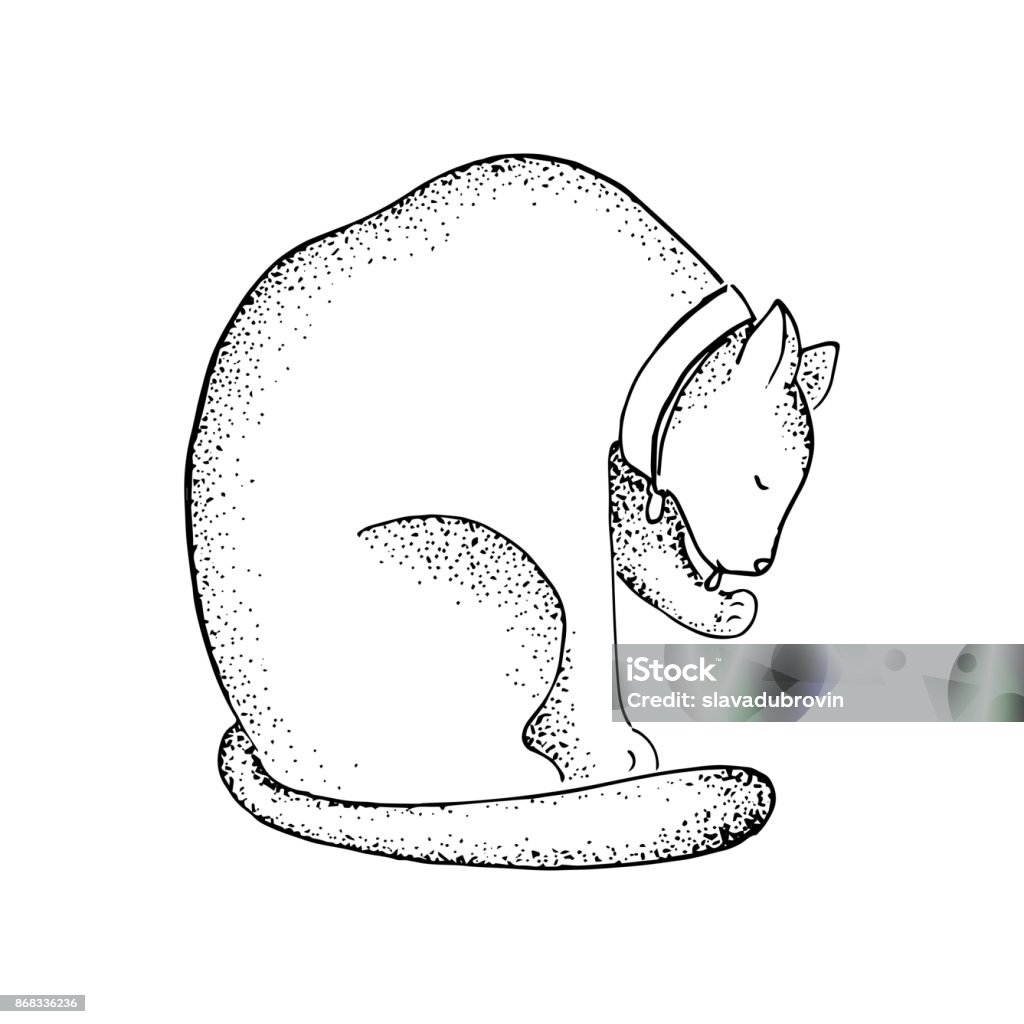 Fat Cat In Collar Line Art Vector Illustration Lazy Cat With Dot Shading Feminine Tattoo Stock Illustration - Download Image Now - iStock Fat Cat In Collar Line Art Vector Illustration Lazy Cat With Dot Shading Feminine Tattoo Stock Illustration - Download Image Now - iStock