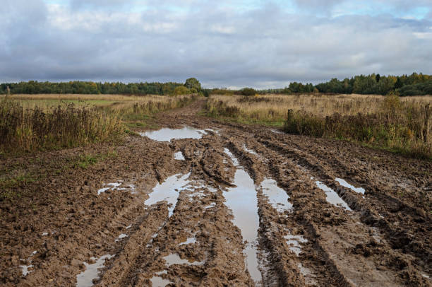 Country dirt road with paddles stock photo