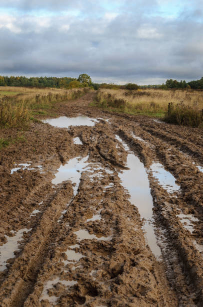 istock Country dirt road after rain 868338714