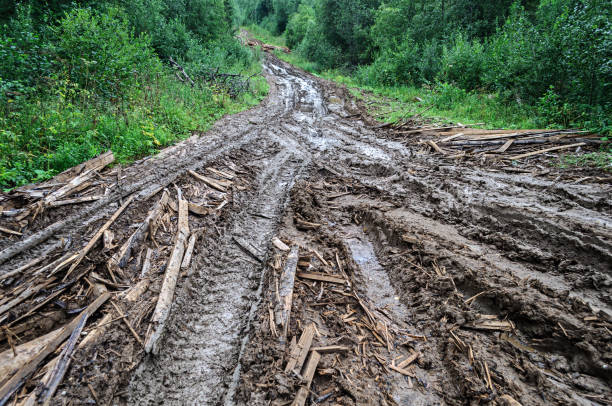 istock Dirt road in forest after rain 868338906