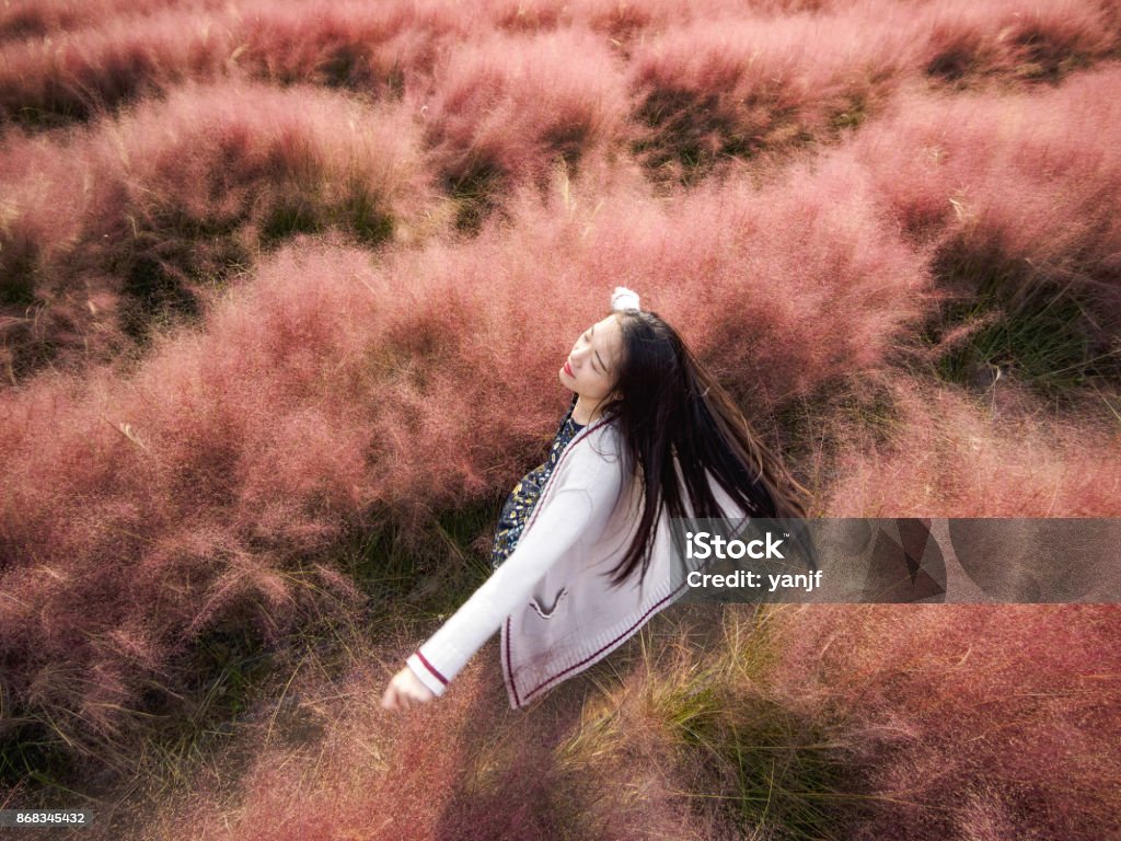 Niña bonita China girando en hairawn rosa muhly campo de flor, con el pelo negro largo viento, vista aérea. - Foto de stock de Muhlenbergia capillaris libre de derechos