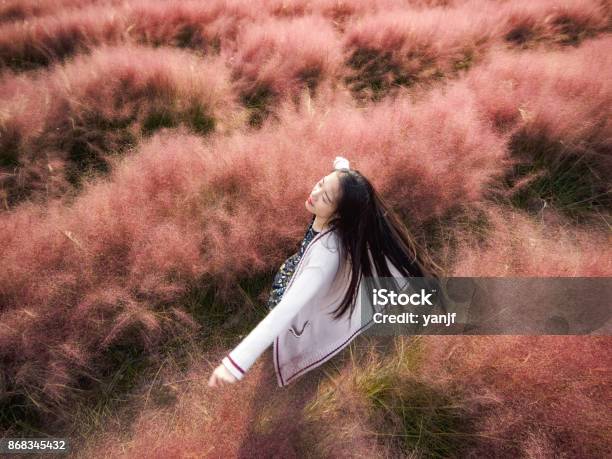 Niña Bonita China Girando En Hairawn Rosa Muhly Campo De Flor Con El Pelo Negro Largo Viento Vista Aérea Foto de stock y más banco de imágenes de Muhlenbergia capillaris