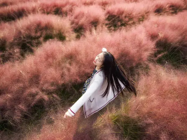 Pretty Chinese girl rotating in Pink hairawn muhly flower field, with black long hair in wind, aerial view.