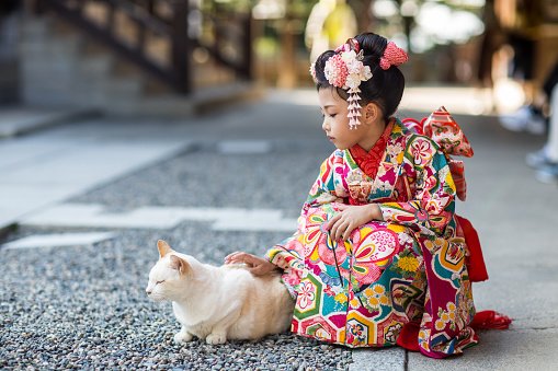 A young Japanese girl dressed in a traditional kimono petting a cat