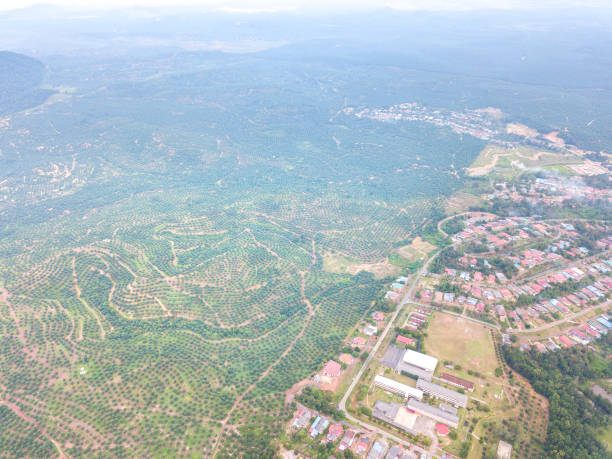 istock Aerial photography 868352614