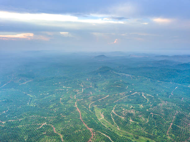istock Aerial photography 868352654