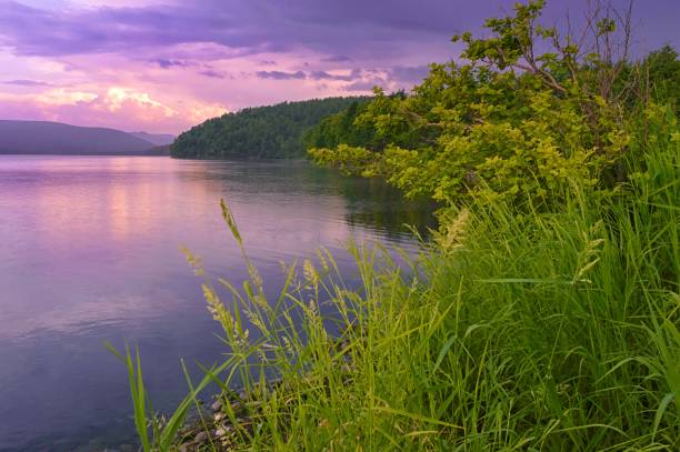 istock Lilac sunset on the lake 868355468