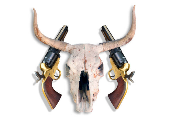 pistole da cowboy e teschio di mucca. - horned death dead texas longhorn cattle foto e immagini stock