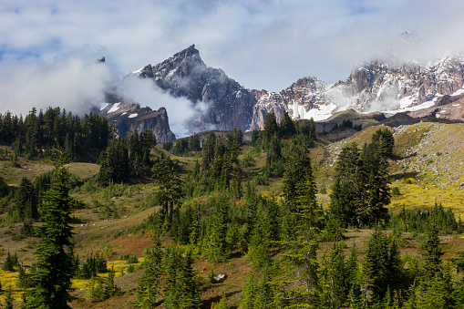 Alpine Meadow and Mountain Peak with Clouds Moving in.