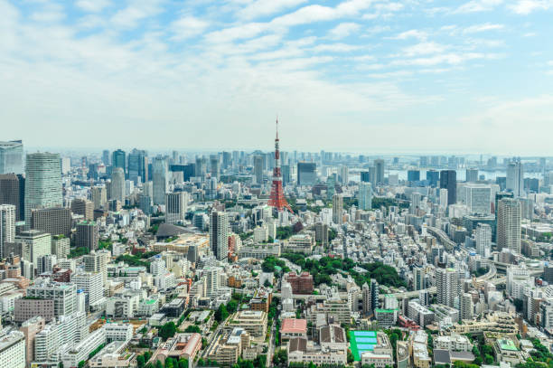 istock Tokyo urban skyline with Tokyo Tower 868362890