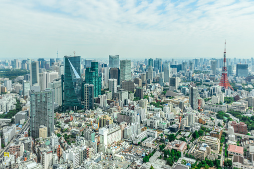 Tokyo urban skyline with Tokyo Tower