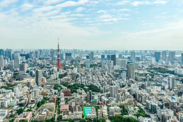 istock Tokyo urban skyline with Tokyo Tower 868362964