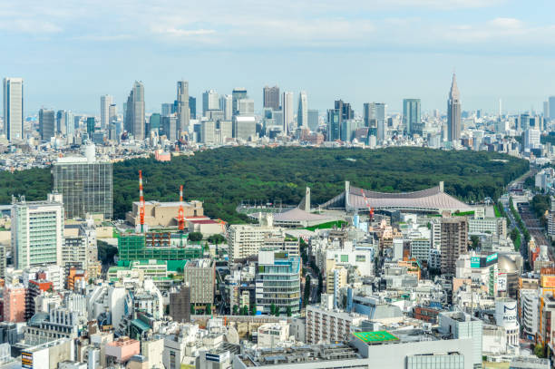 istock Tokyo urban cityscape 868366014